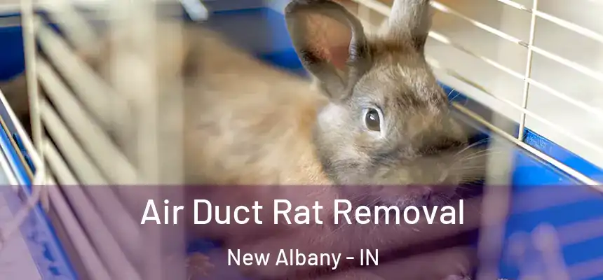  Air Duct Rat Removal New Albany - IN