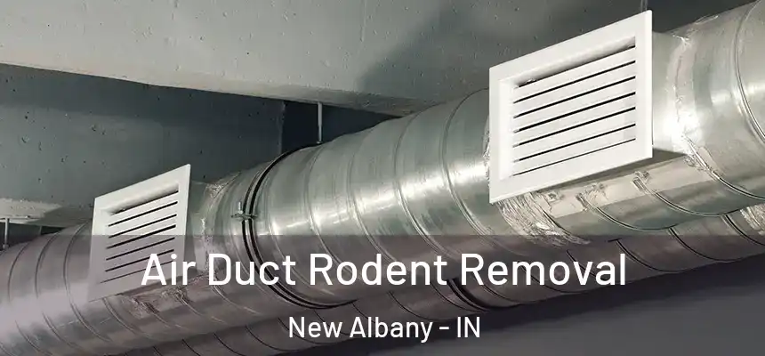  Air Duct Rodent Removal New Albany - IN