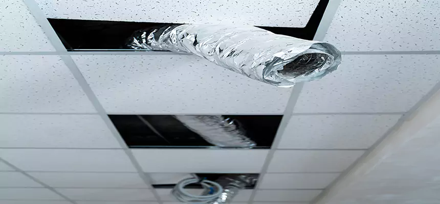 Our Air Duct Pet Hair Removal Services in New Albany, IN