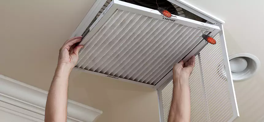 Our Insect Removal from Air Ducts Services in New Albany, IN