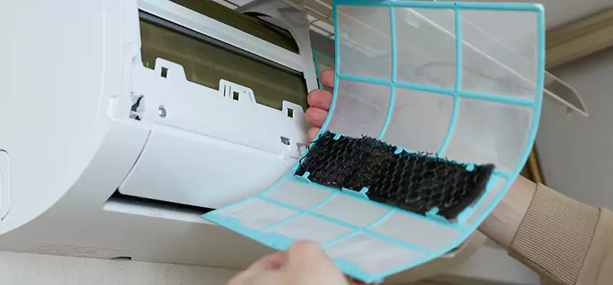 Gentle Ductwork Odor-Control Pet Dander Duct Cleaning in New Albany, IN