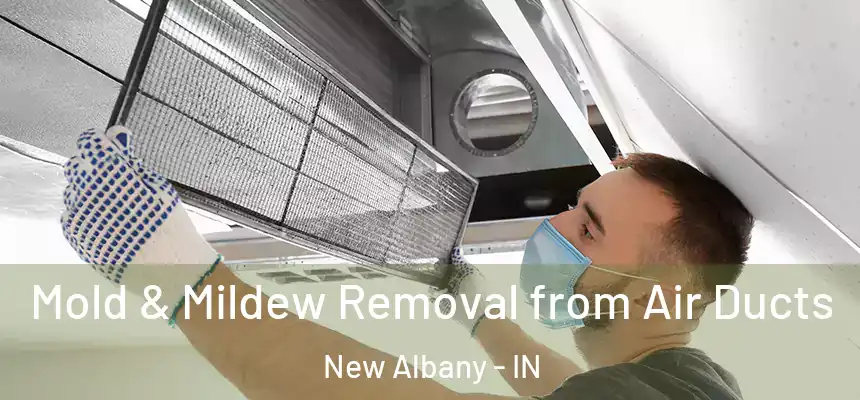  Mold & Mildew Removal from Air Ducts New Albany - IN