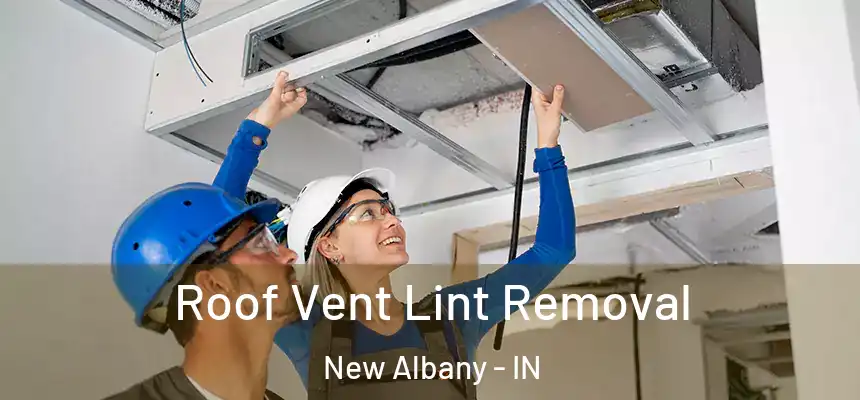  Roof Vent Lint Removal New Albany - IN