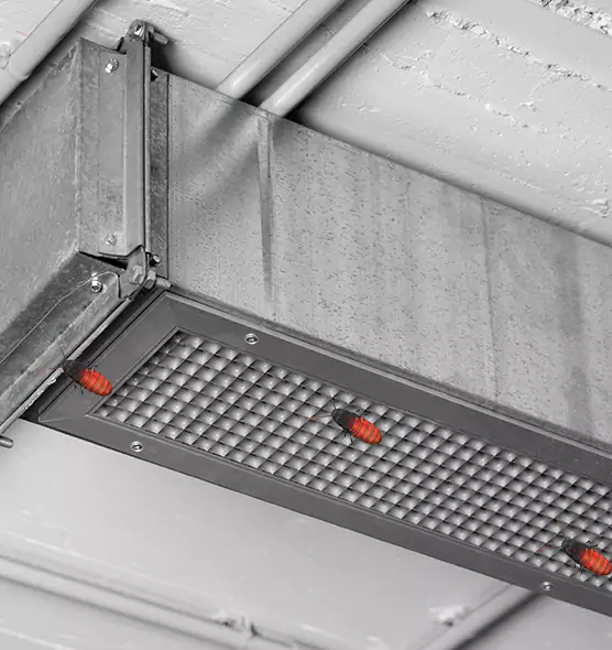 About Air Duct Cockroach Removal in New Albany, IN