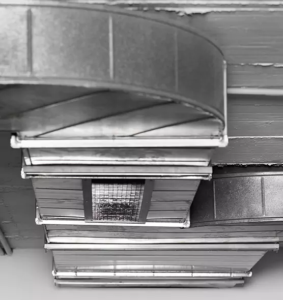 Professional Air Duct Pest Removal in New Albany, IN