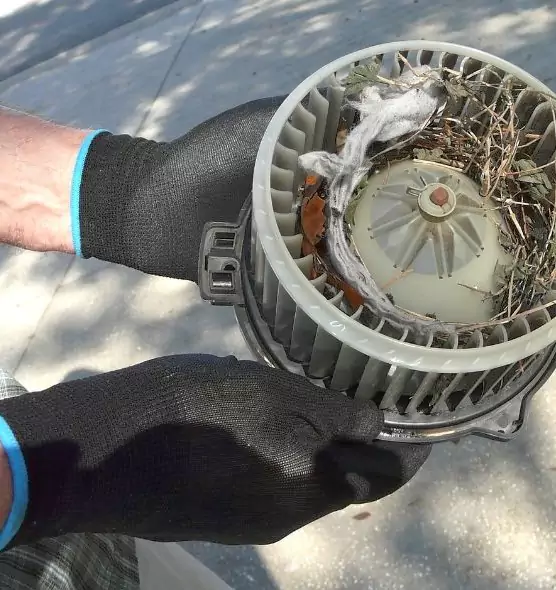 About Air Duct Rat Removal in New Albany, IN