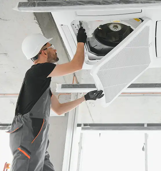 About Air Duct Rodent Removal in New Albany, IN