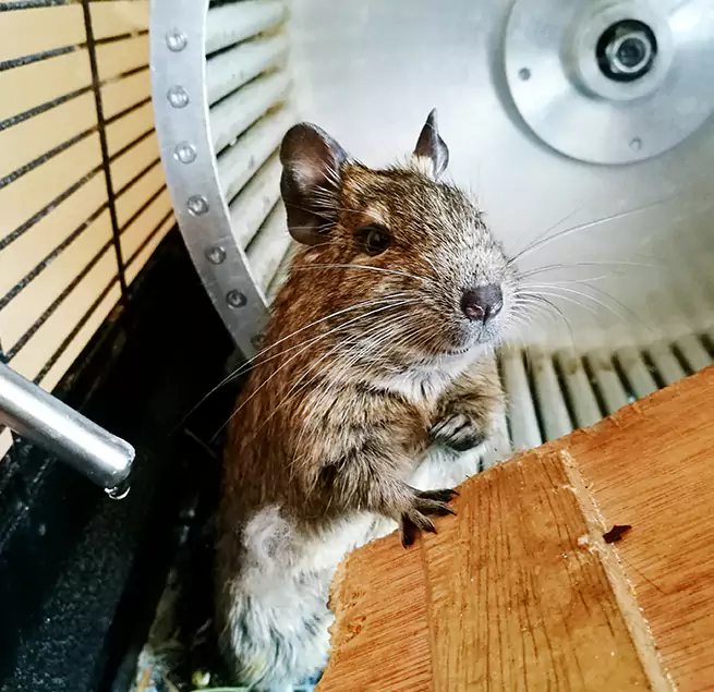 Why Homeowners & Businesses Trust Us New Albany, IN