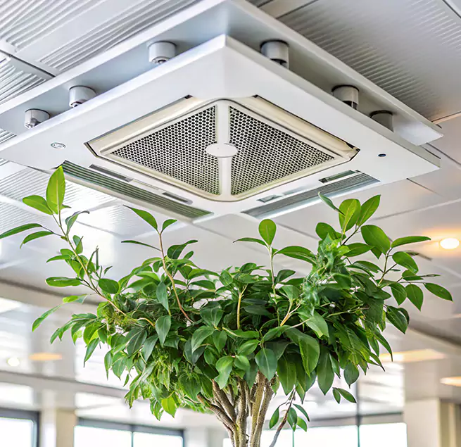 Why Homeowners & Businesses Trust Us in New Albany, IN